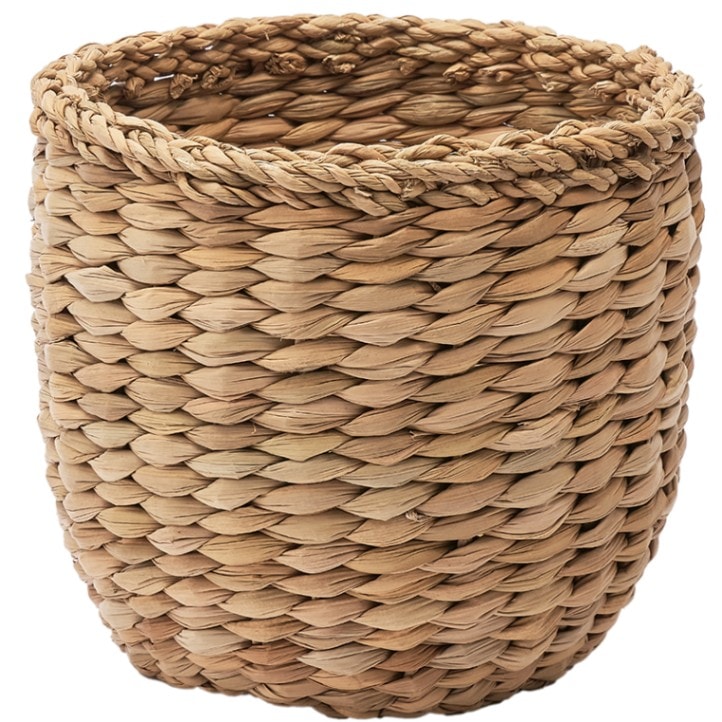 BBホグラナスアールポットφ19xH19