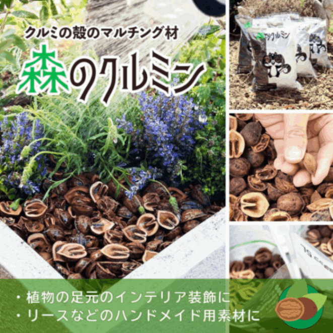 森のクルミン5リットル×6袋（1ケース）□メーカー直送 | ドライ