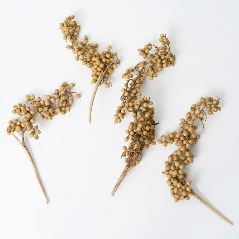 RMキャネラベリー ナチュラル 4本セット