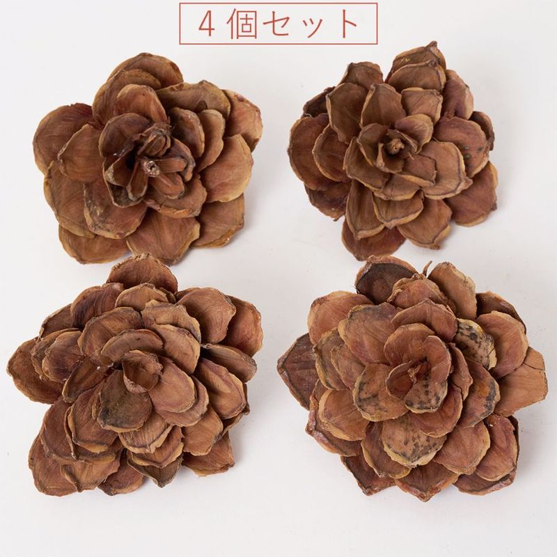 RMストローブペタルフラワー4個セット