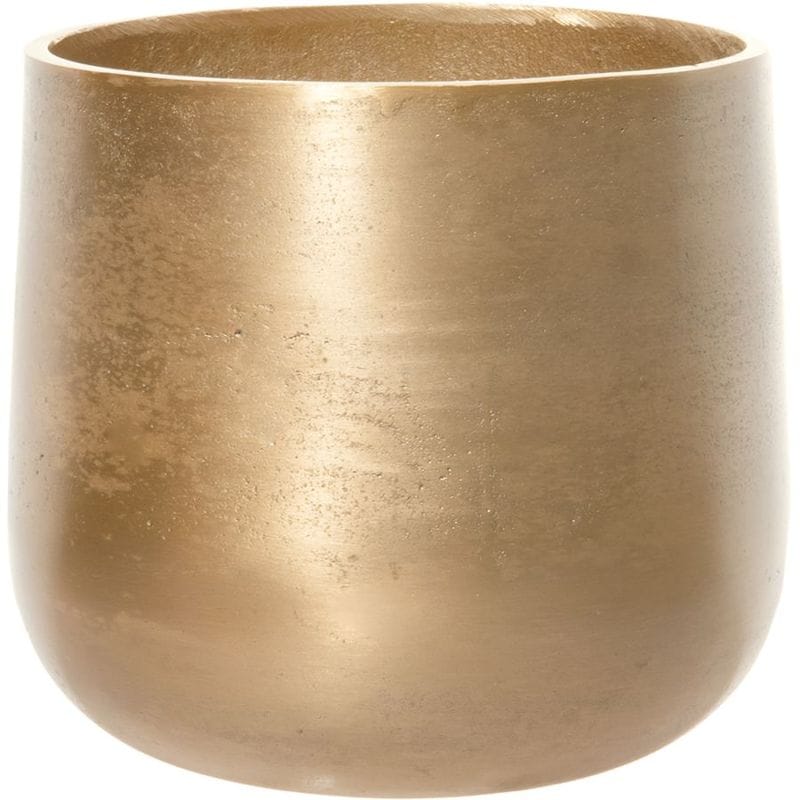 AM6ベース ゴールドH20