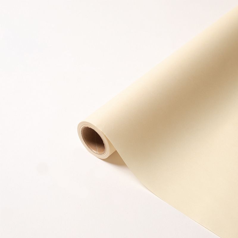 パリ No.21 エマイユ 65cmx15m【メーカー直送品】別途送料がかかります。取り混ぜ12本以上で送料無料