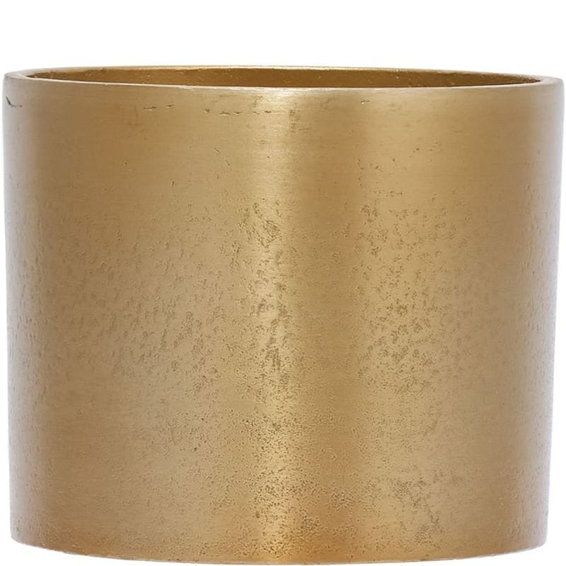 【予約商品】【再入荷】AMシリンダーポットゴールド H11.5