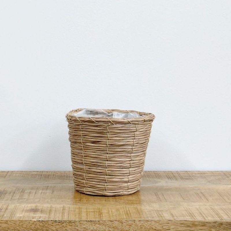 ★新商品★PEコードポット4号 ナチュラル