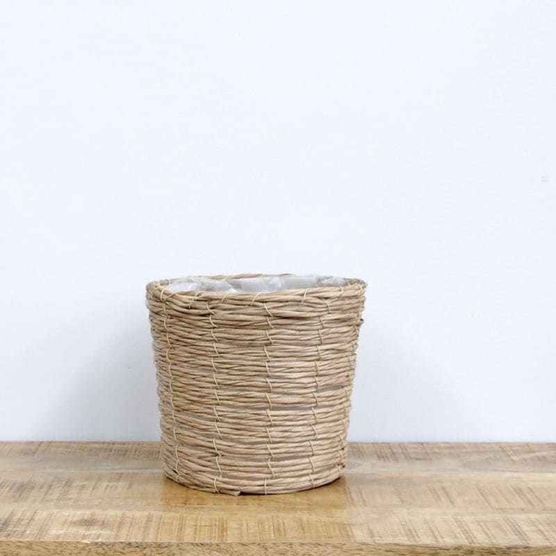 ★新商品★PEコードポット5号 ナチュラル