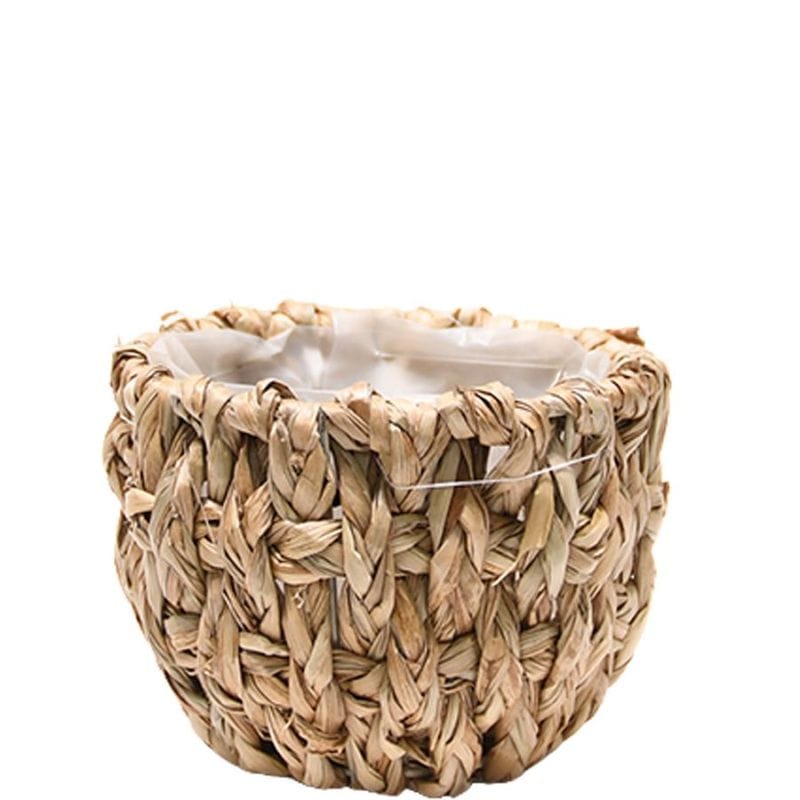 ホグラスアール S