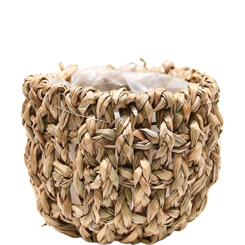 ホグラスアール M