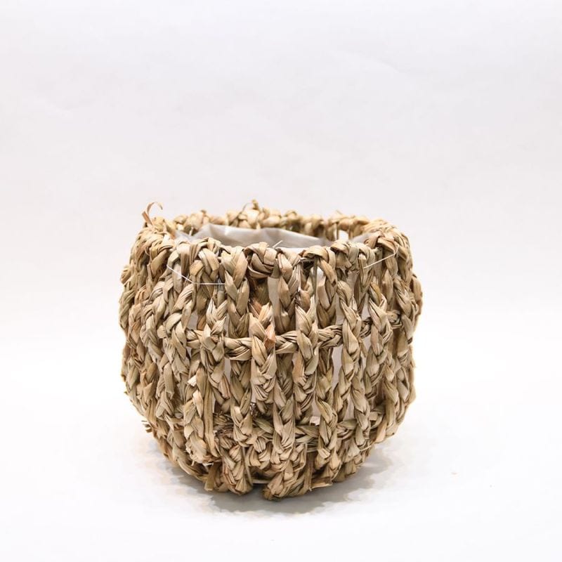 ★新商品★ホグラスアール L