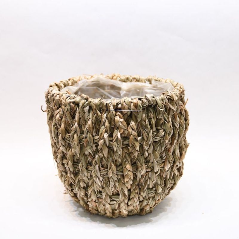 ★新商品★ホグラスアール LL