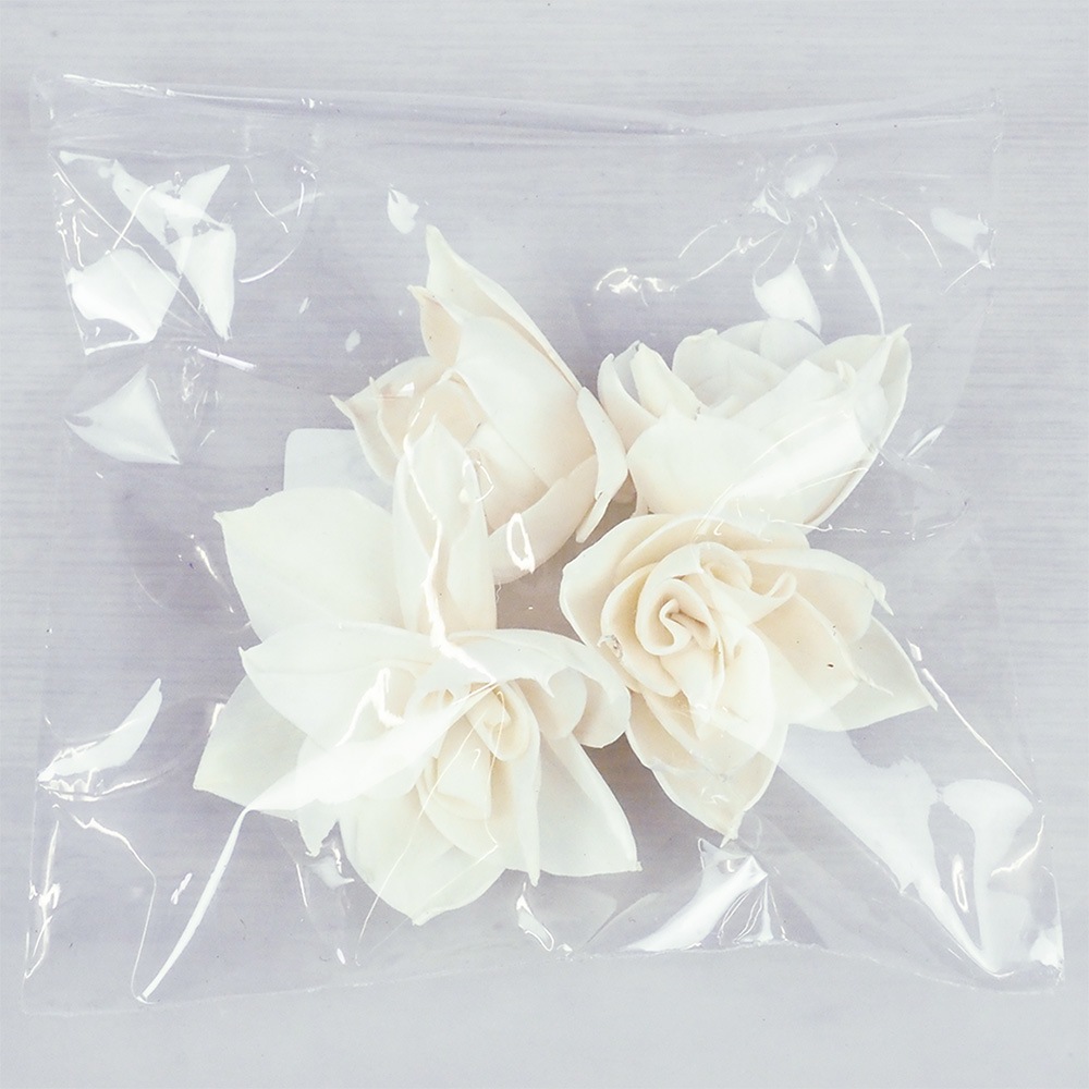 8900056_RMソラガーデニア6cm 4個セット