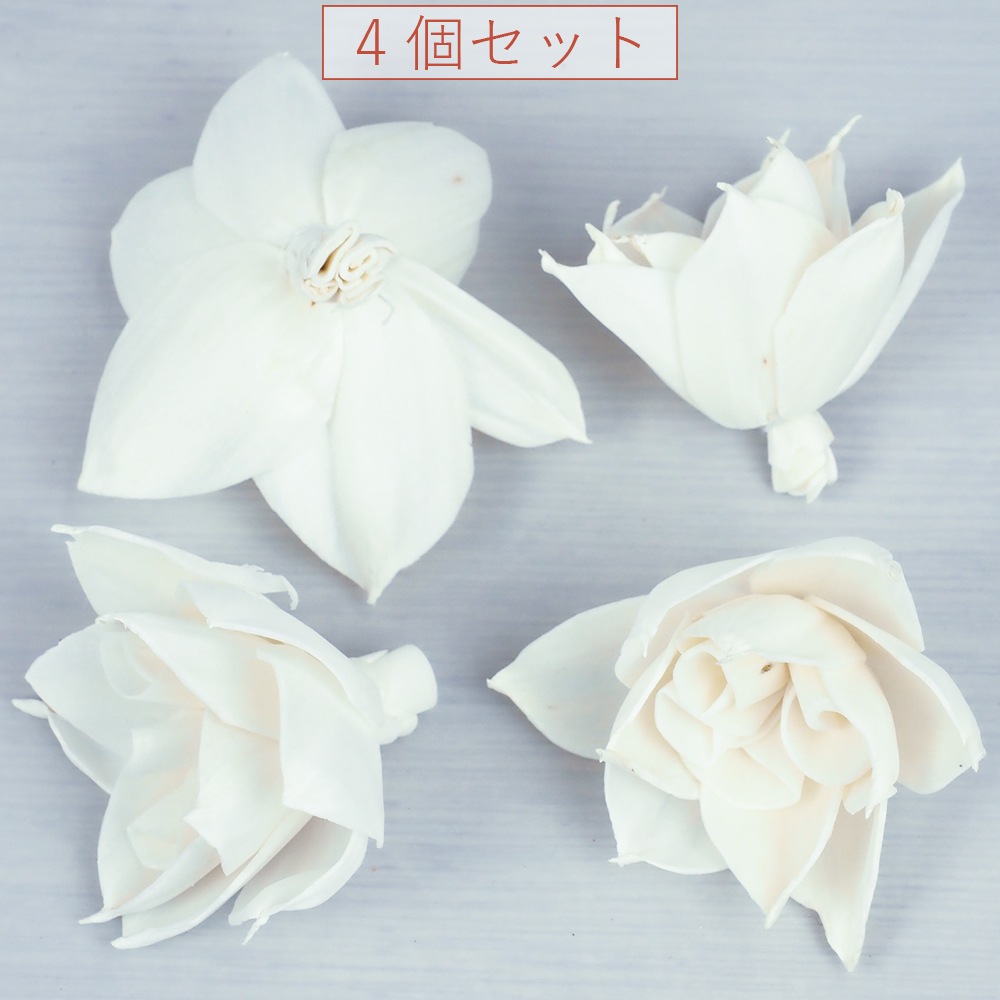 RMソラガーデニア6cm 4個セット