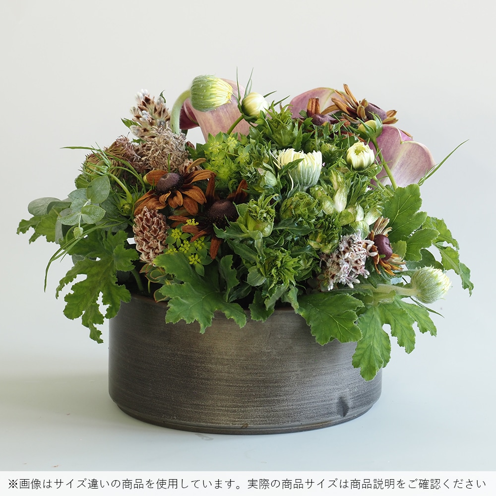 MC浅型円柱 ダークブラックH8　