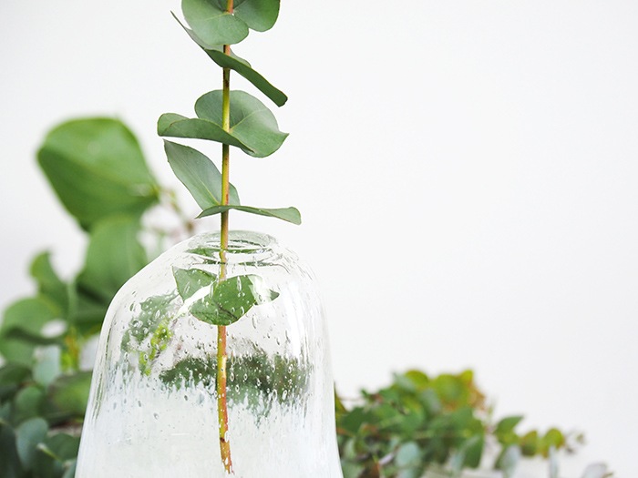 DGマコベースクリアホワイト H20