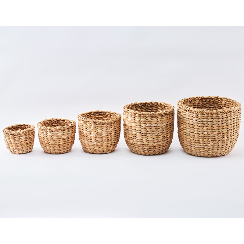 BBホグラナスアールポットφ19xH19