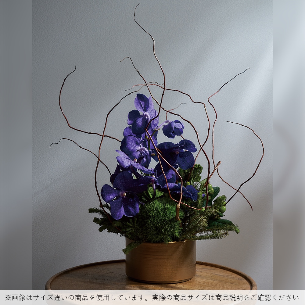 MC浅型円柱 アンティークゴールドH8