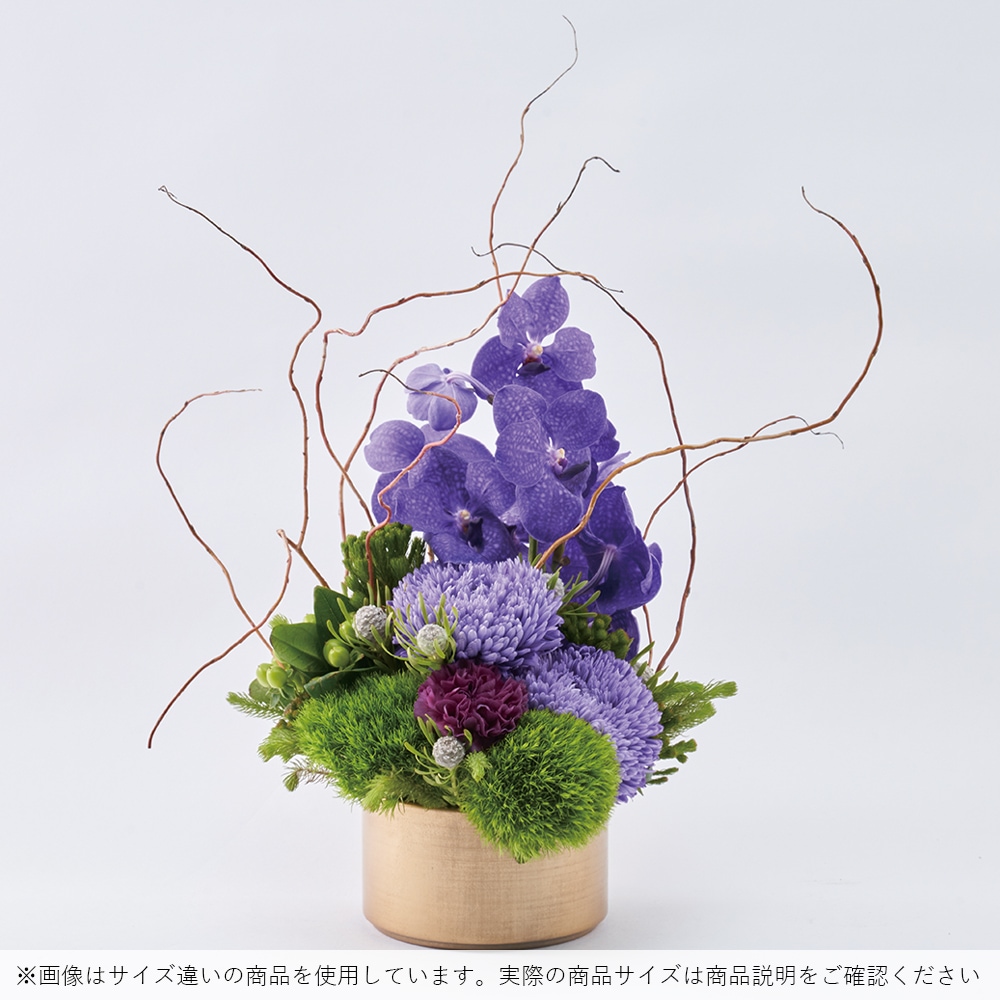 MC浅型円柱 アンティークゴールドH8