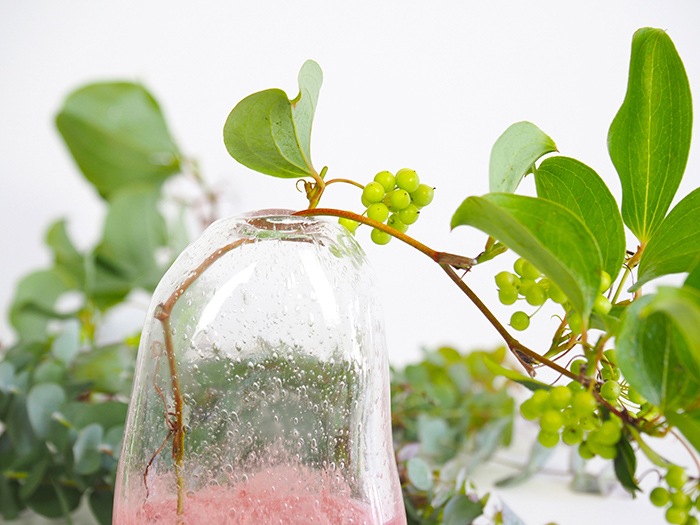 DGマコベースクリアピンク H20