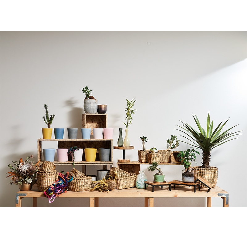 BBホグラナスアールポットφ23xH19