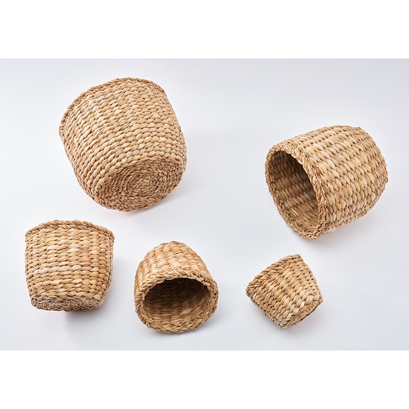 BBホグラナスアールポットφ23xH19