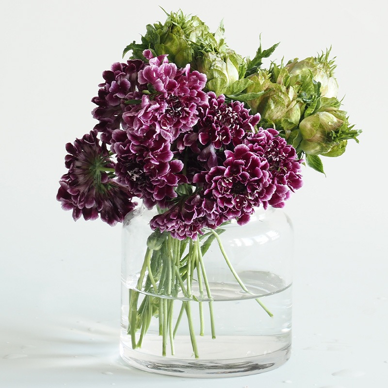 Tomボトルベース H10