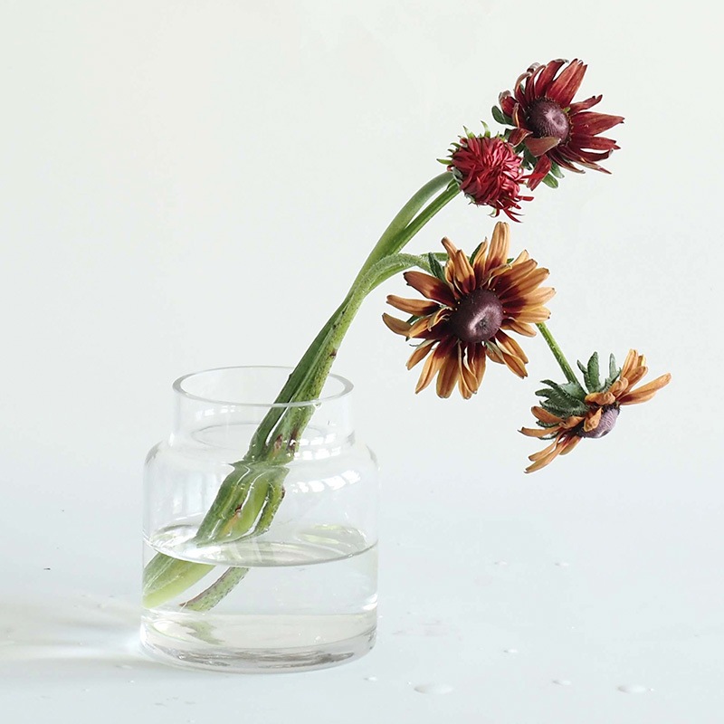 Tomボトルベース H10