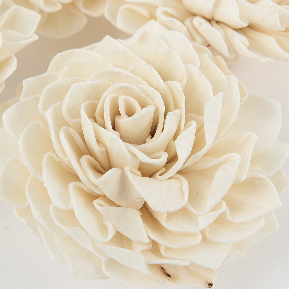 8900004_RMソラダリア ホワイト 8cm 4個セット