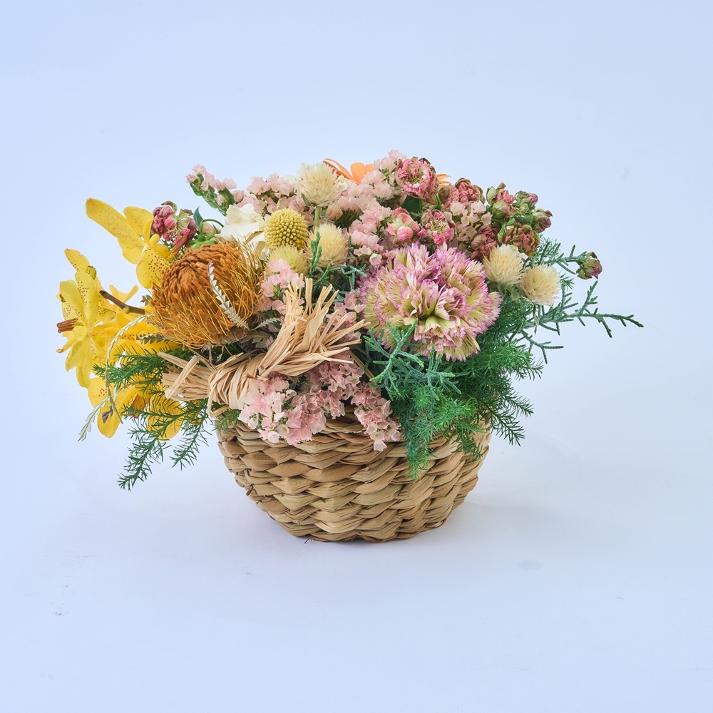 BBホグラナス浅型アールφ15xH9