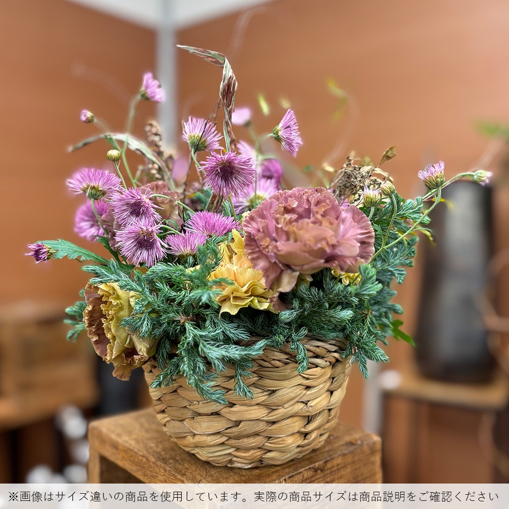 BBホグラナス浅型アールφ15xH9