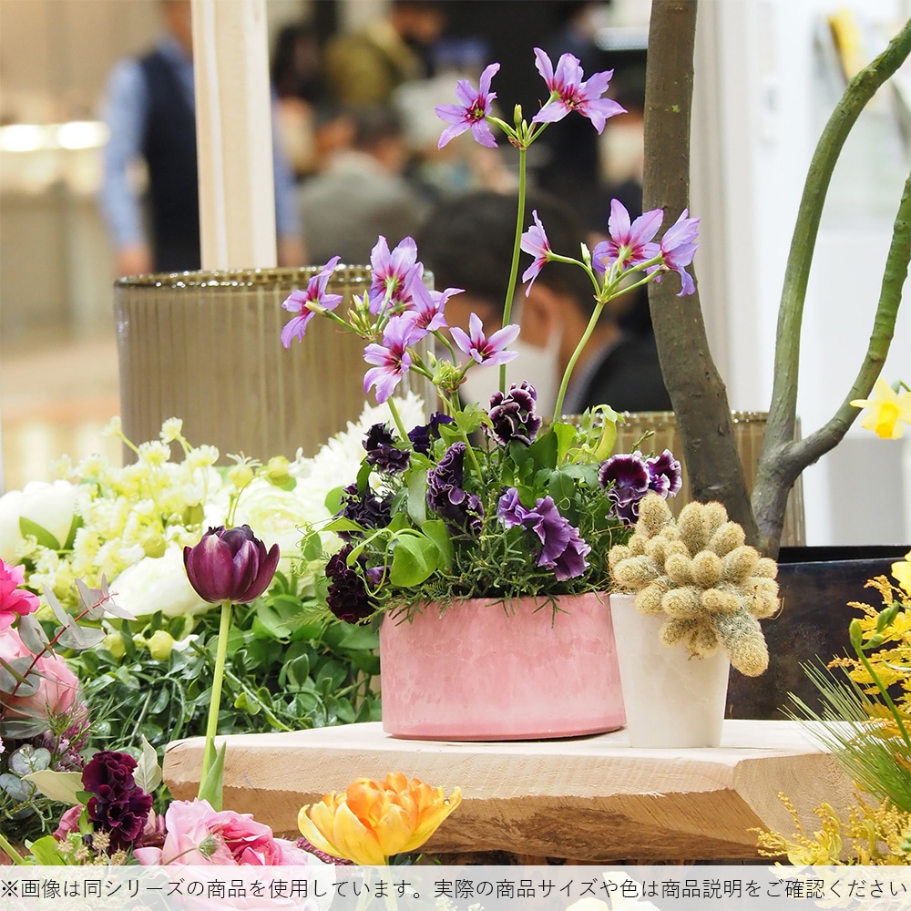 SK浅型ラウンドφ14 ライム【入荷予定あり】【2026年5月中旬入荷予定】