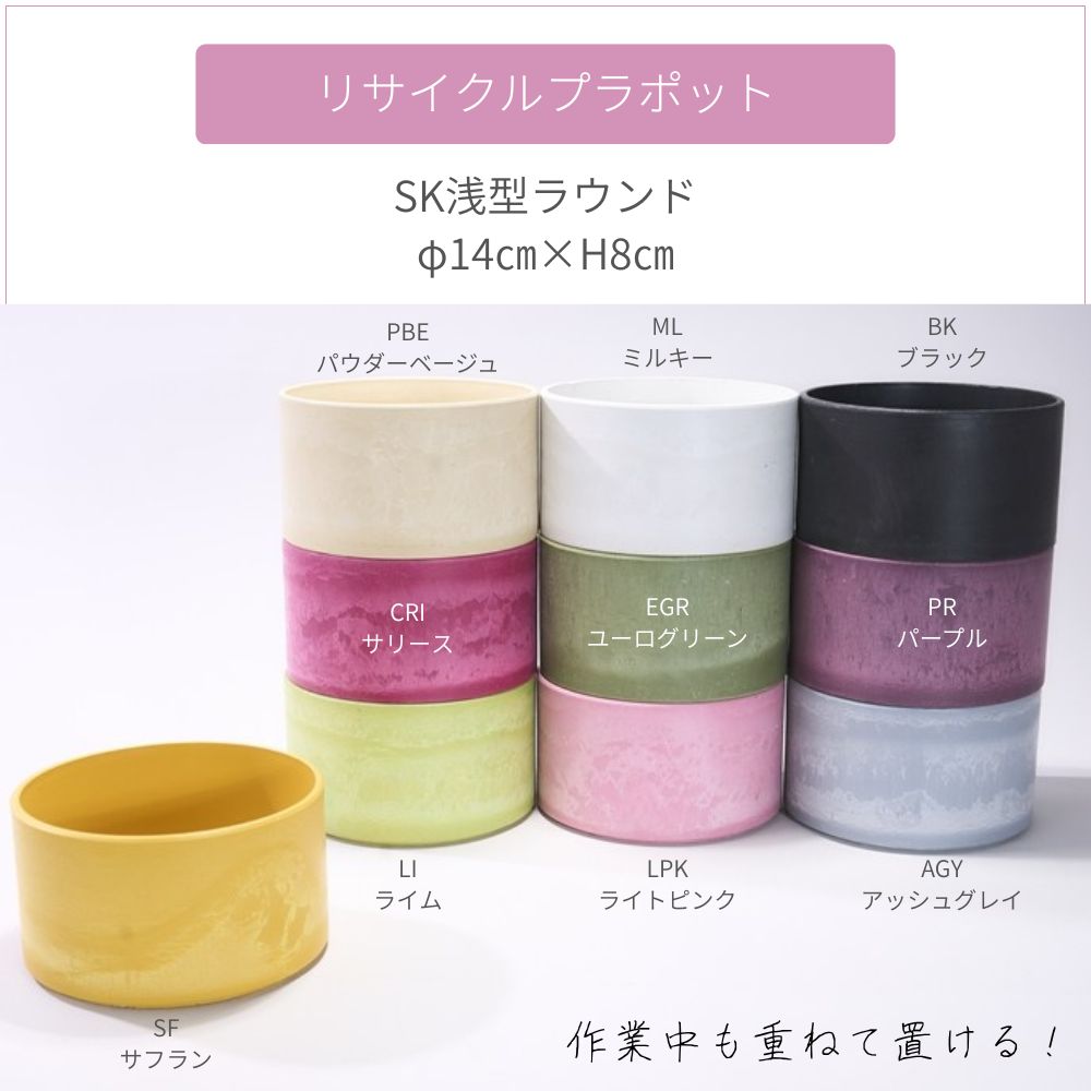 SK浅型ラウンドφ14 ライム【入荷予定あり】【2026年5月中旬入荷予定】