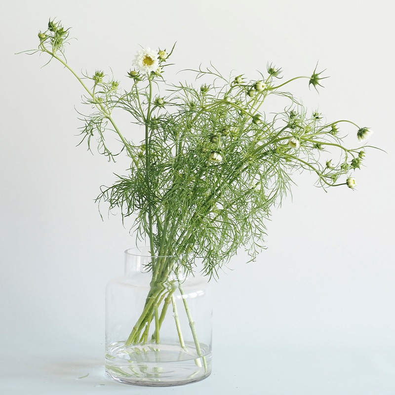 Tomボトルベース H30.5