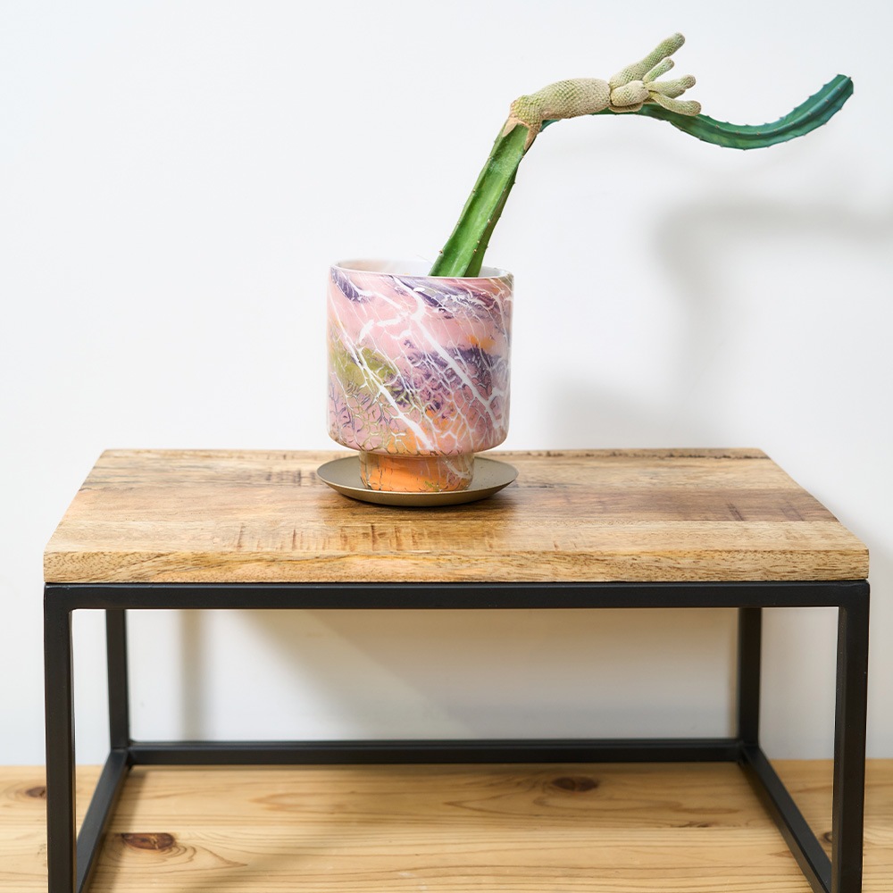 DGガラスステップポット&ソーサーH12 クラックライト