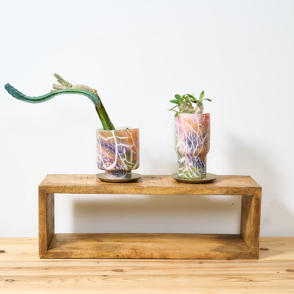 DGガラスステップポット&ソーサーH12 クラックライト