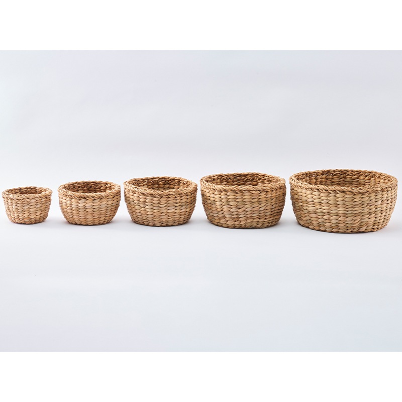 BBホグラナス浅型アールφ22xH11