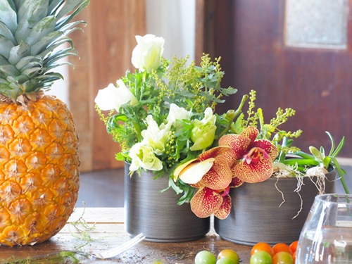 MC浅型円柱ダークブラック φ14xH8【入荷予定あり】【2025年11月中旬入荷予定】