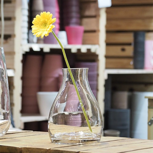 Tomグラスベースボトム H16