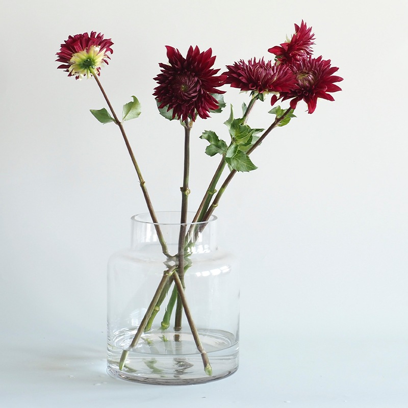 Tomボトルベース H22.5