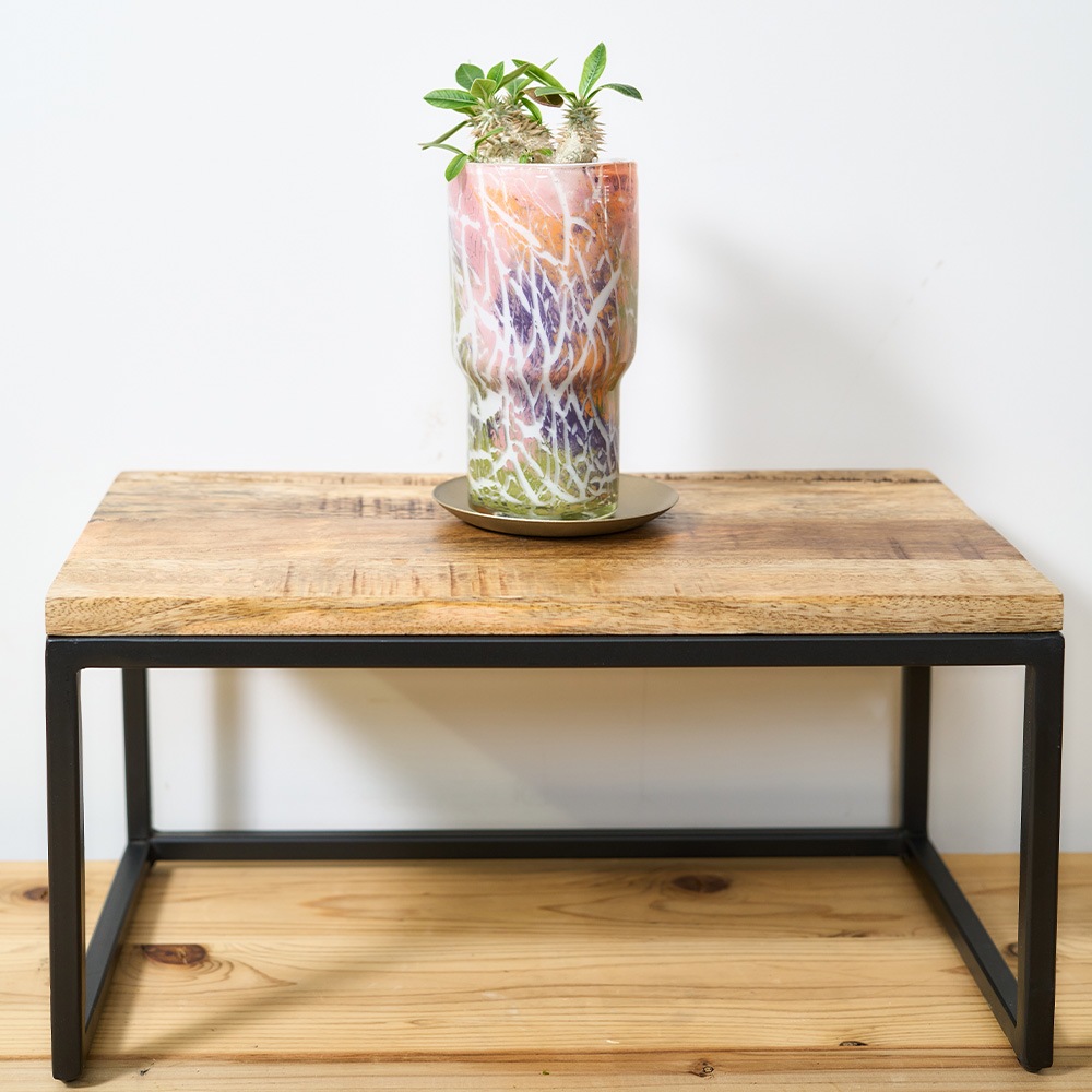 DGガラスステップロングポット&ソーサーH16 クラックライト