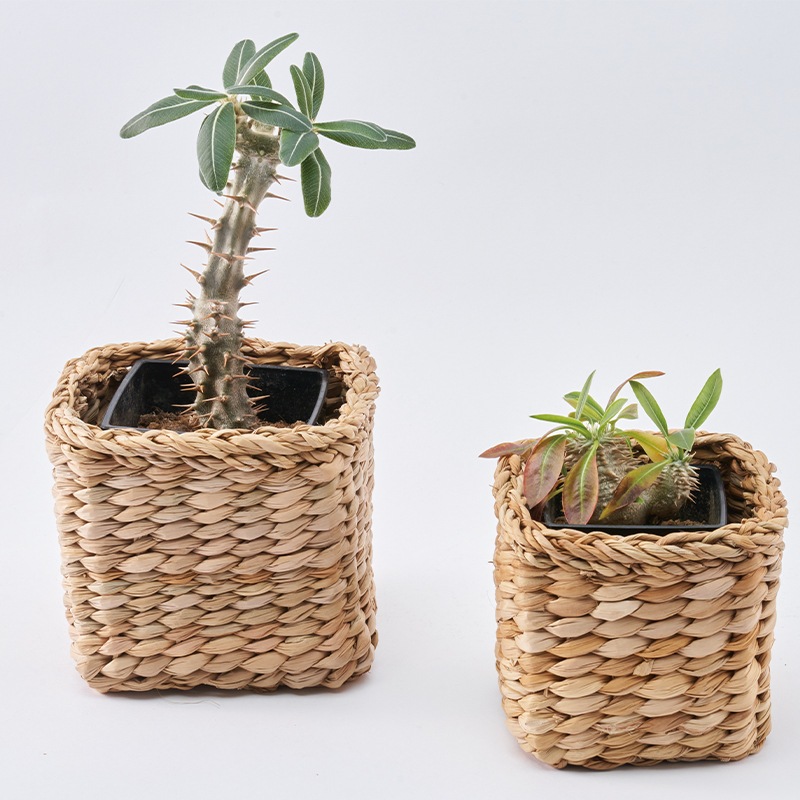 BBホグラナススクエア 11xH11