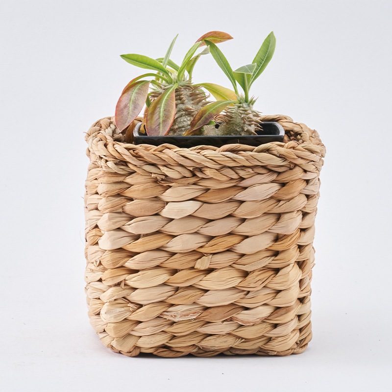 BBホグラナススクエア 11xH11