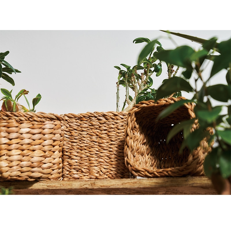 BBホグラナススクエア 14xH12