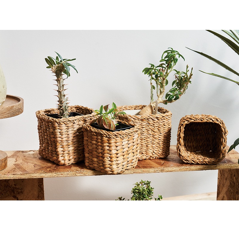 BBホグラナススクエア 14xH12