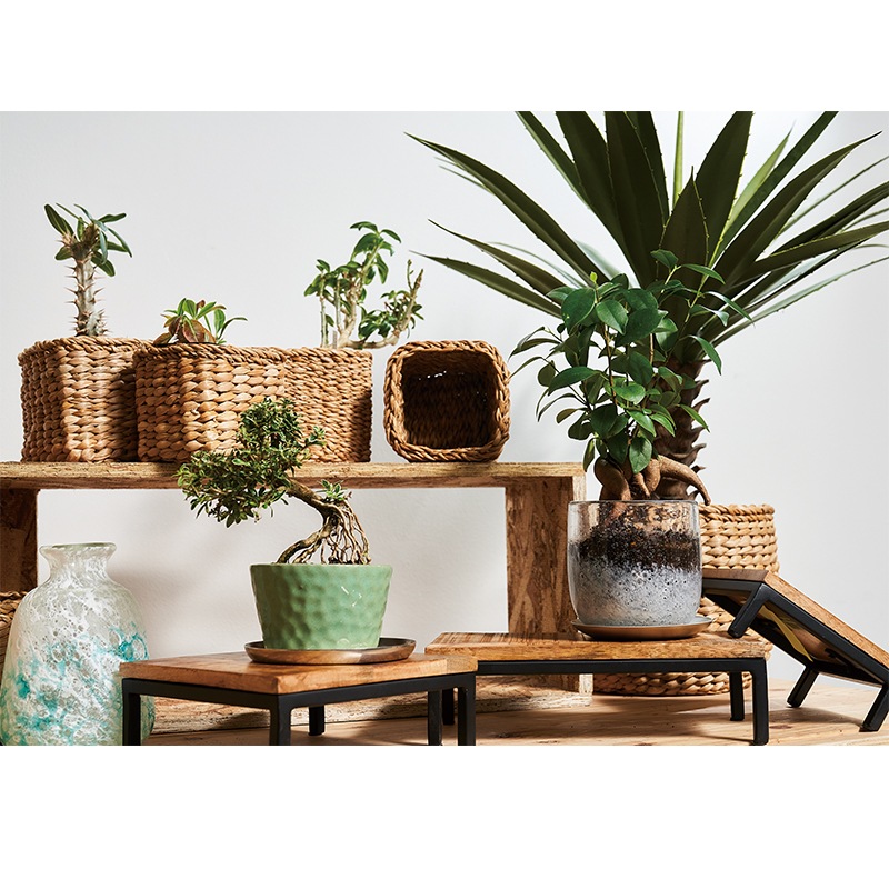 BBホグラナススクエア 14xH12