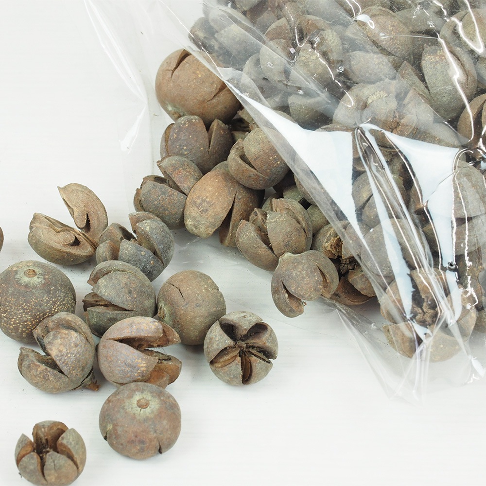 RMチルニポッド 約200g