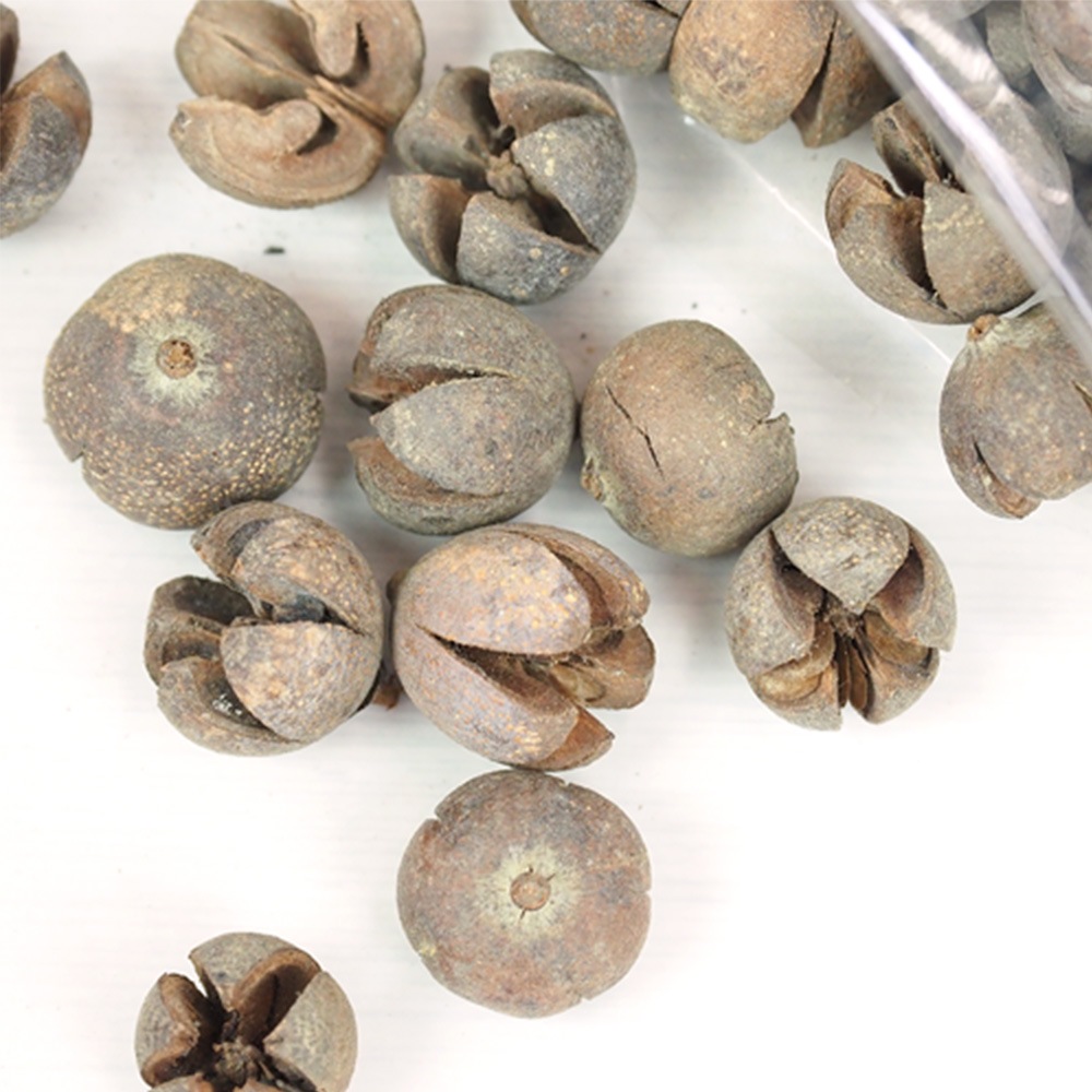 RMチルニポッド 約200g