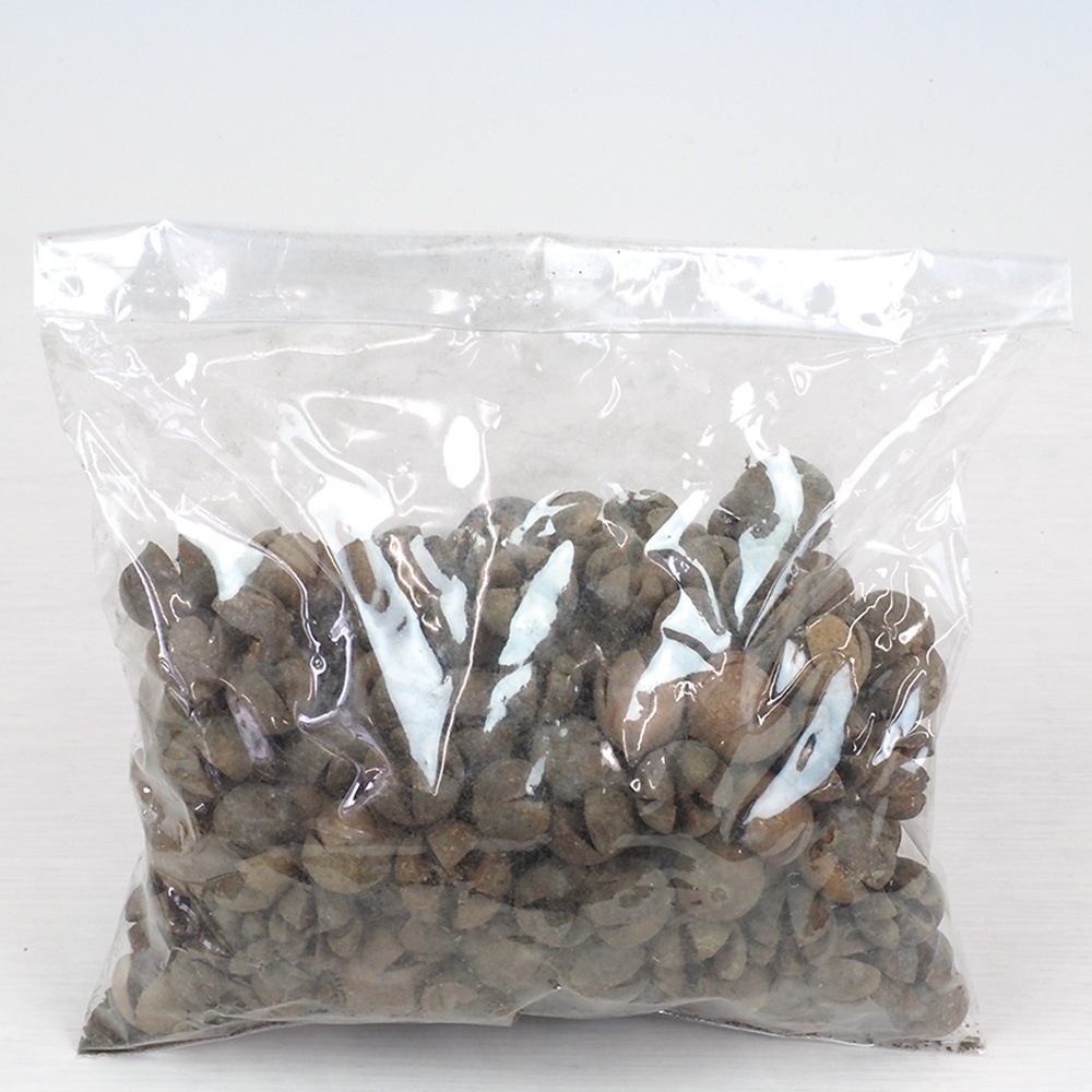 RMチルニポッド 約200g