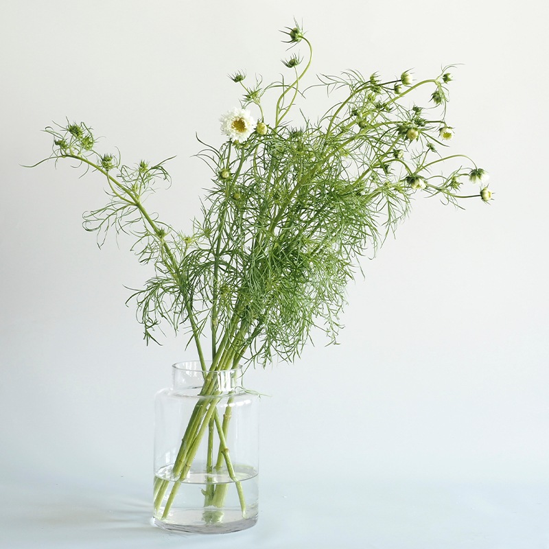 Tomボトルベース H22