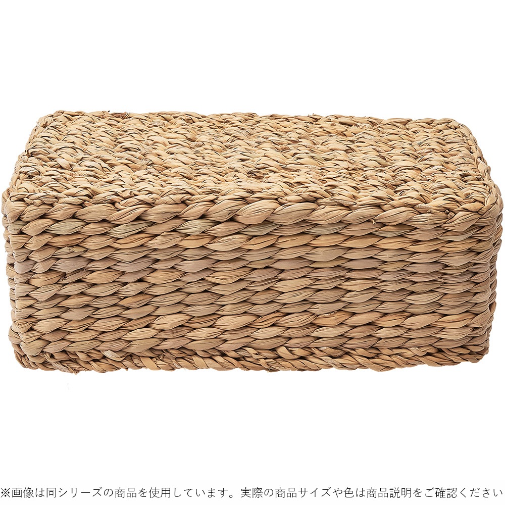 5A00034_BBホグラナス長方形25x12xH10