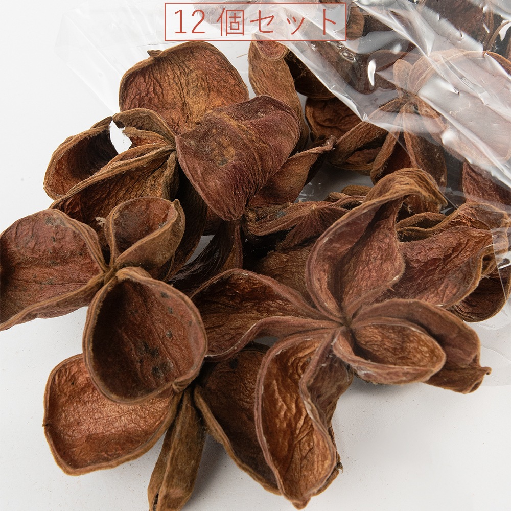 RMロータスフラワー 12個セット