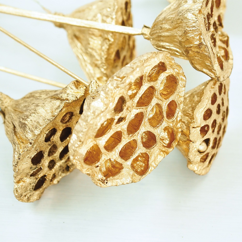 RMロータススティック 6個セット